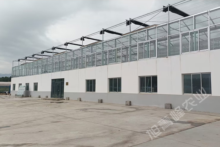 2022年甘肅省馬鈴薯研究所玻璃聯棟溫室